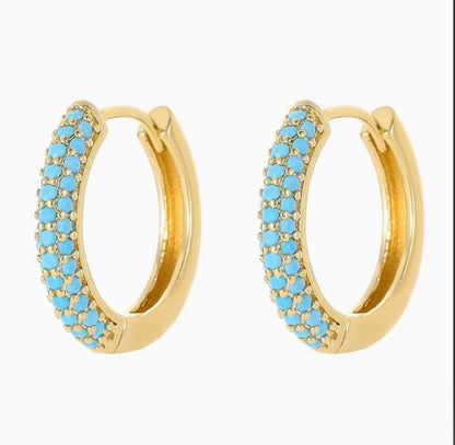 Premium Charming Turquoise Earrings